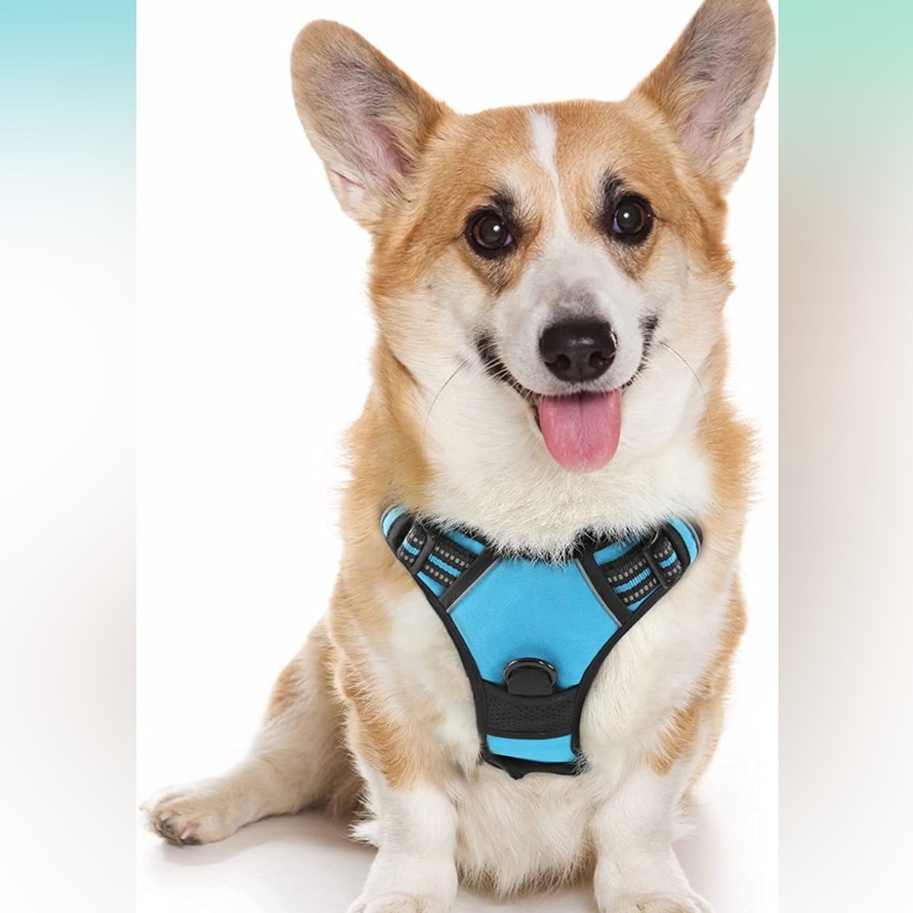 New! Rabbitgoo No-Pull Dog Harness Medium